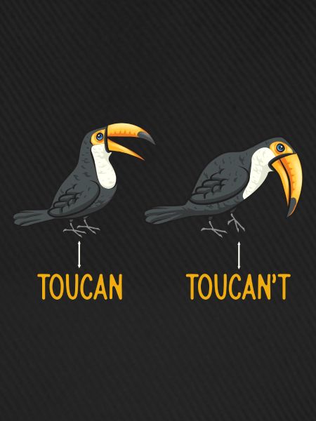 Tukan Vogel Regenwald