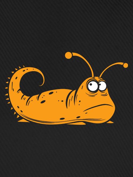 Schnecke 10