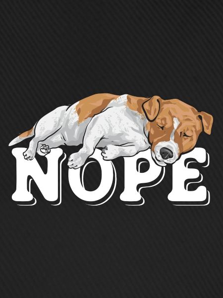 Jack Russell Terrier