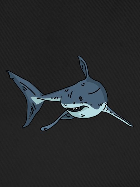 Hai Haifisch