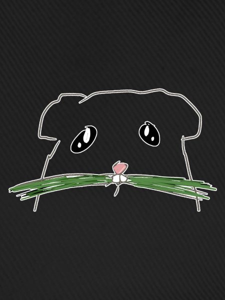 hamster Nagetier