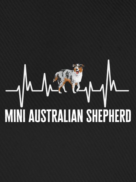 Miniature Australian Shepherd