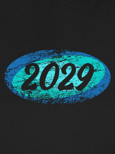 2029 2029