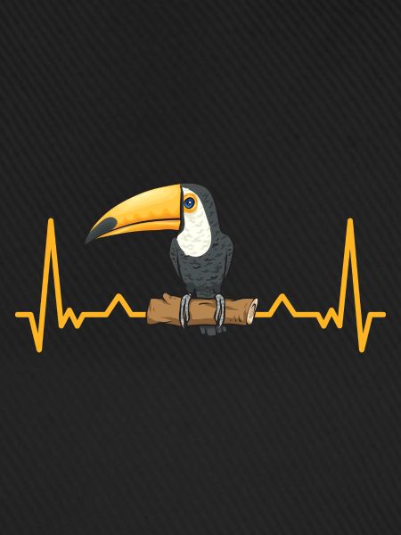 Tukan Vogel Regenwald