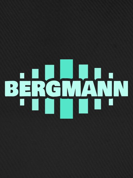 Beruf Bergmann