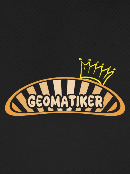Beruf Geomatiker