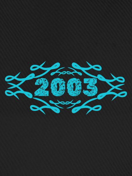 2003 2003