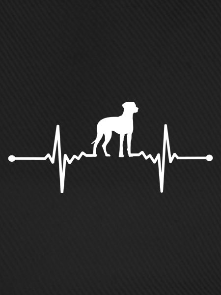Rhodesian Ridgeback - Rhodesian Ridgeback