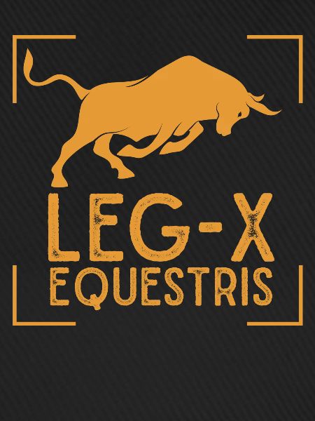 Legio X Equestris Julius Caesar