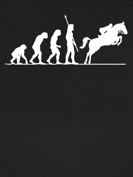 Evolution Des Reitens, Pferd, Pferde