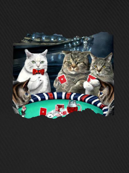 Cats Playing Cards