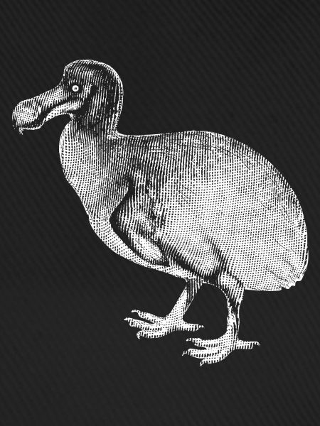 Dodo - white