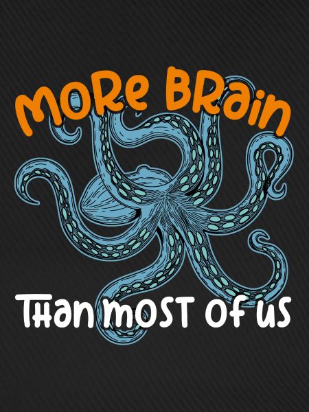 Intelligente Oktopusse - großer Oktopus