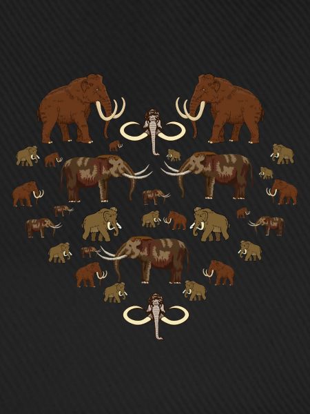 Mammut