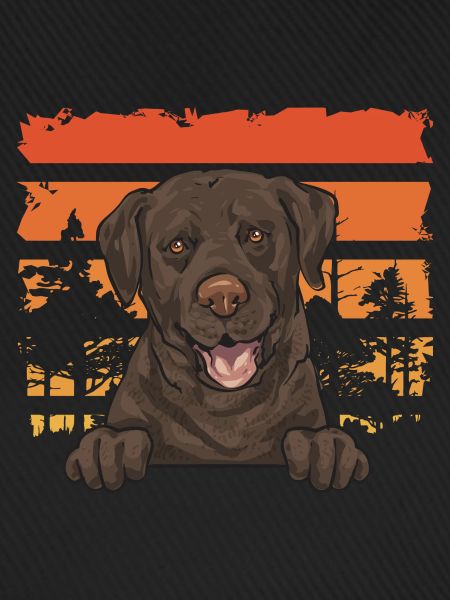 Chocolate Labrador Retriever Hund