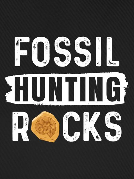 Fossilienjagd Felsen