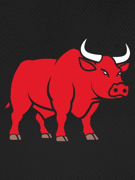 Stier