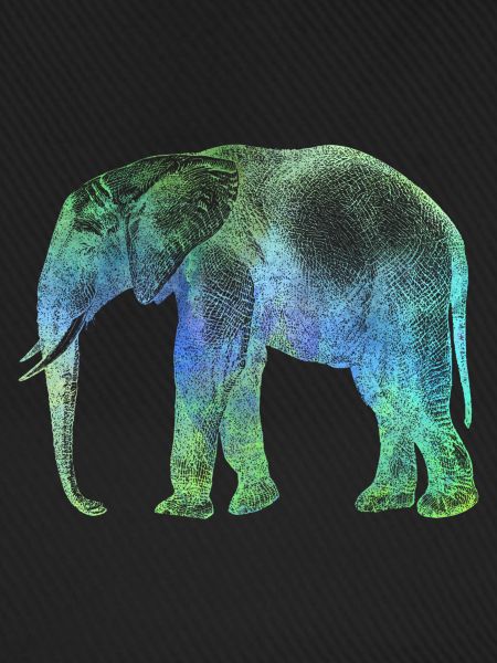 Elefant Afrika