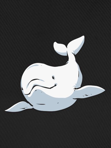 Weißwal Beluga Wal