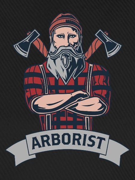 Baumkletterer Baumpfleger Arborist Baumpflege