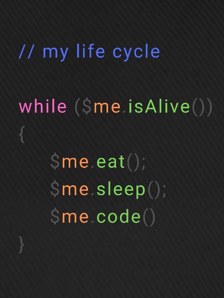 my life cycle dev