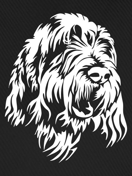 Spinone Italiano Kopf "Black Edition"