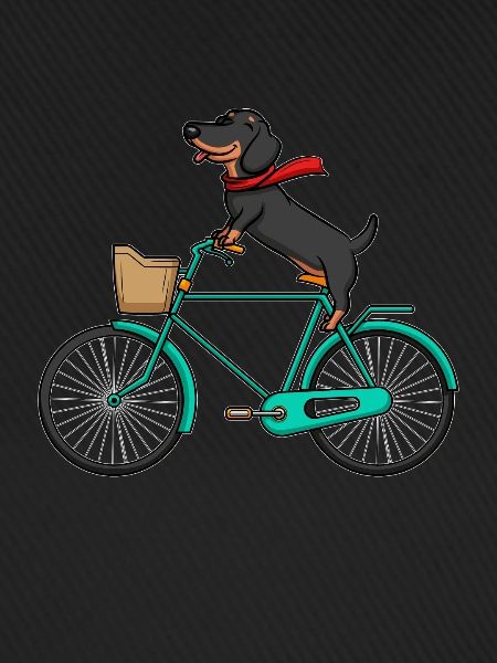 Fröhlicher Dackel fährt Fahrrad - Dackel