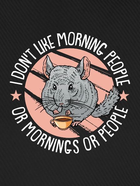 Chinchilla