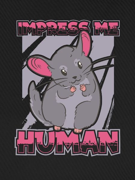 Chinchilla