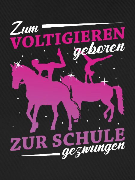 Voltigieren