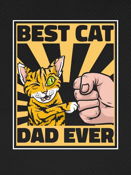 Katze Katzenpapa