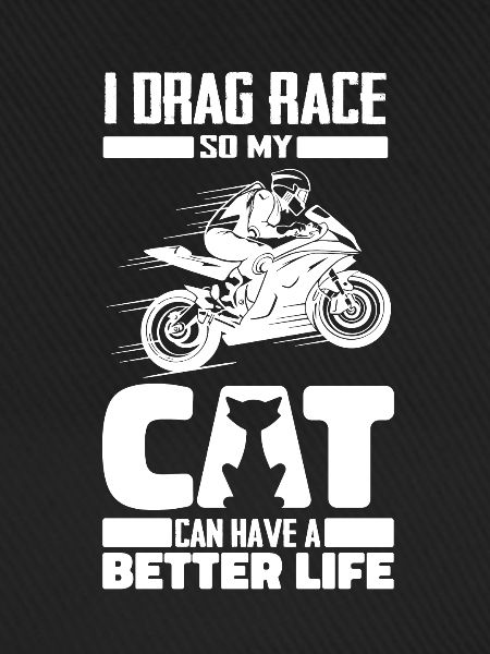 Dragster Drag Race Katze