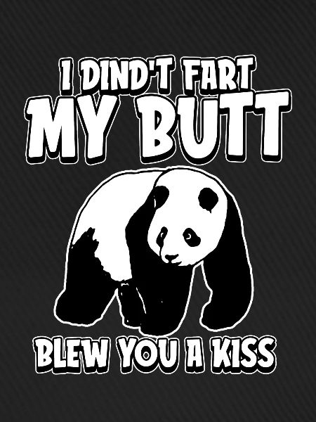 Großer Panda Pandabär