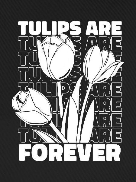 Tulpen Tulpen