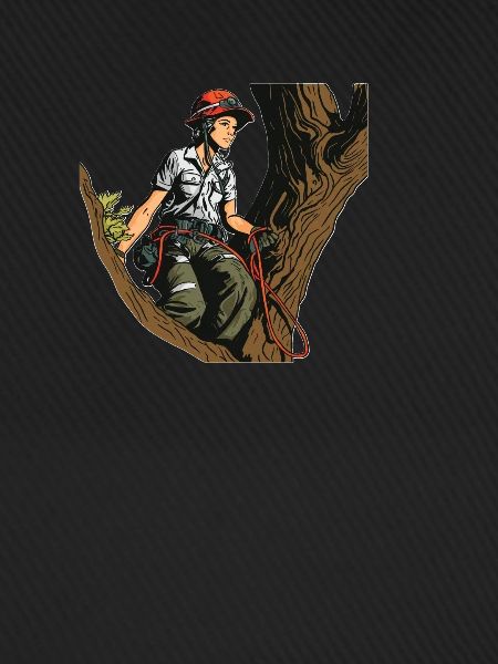 Baumpfleger Baumkletterer Arborist Baumklettern