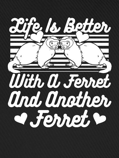 Frettchen Iltis Liebe