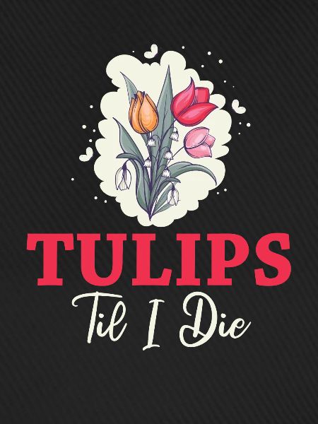 Tulpen Tulpen