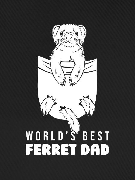 Frettchen Iltis Papa
