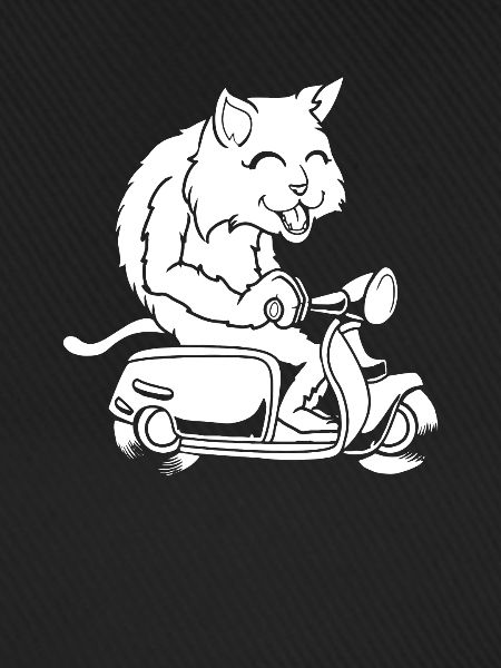 Motorroller Katze