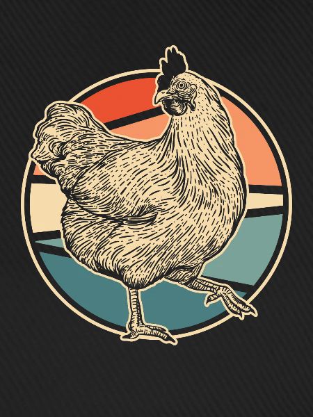 Huhn Henne