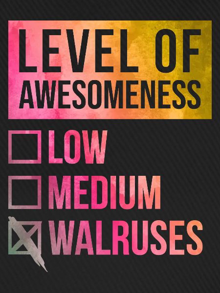 Walross Walross Walross