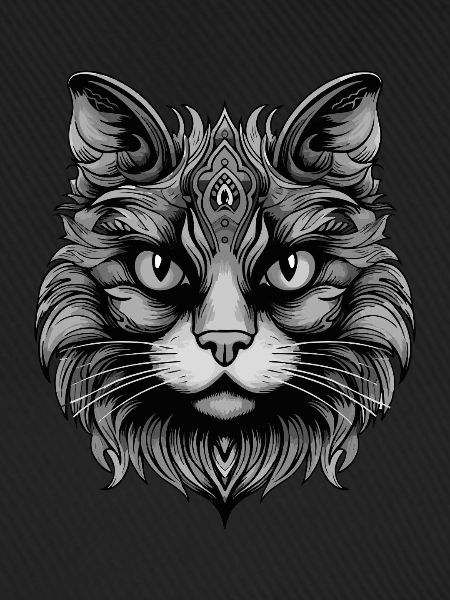 Katze Portrait