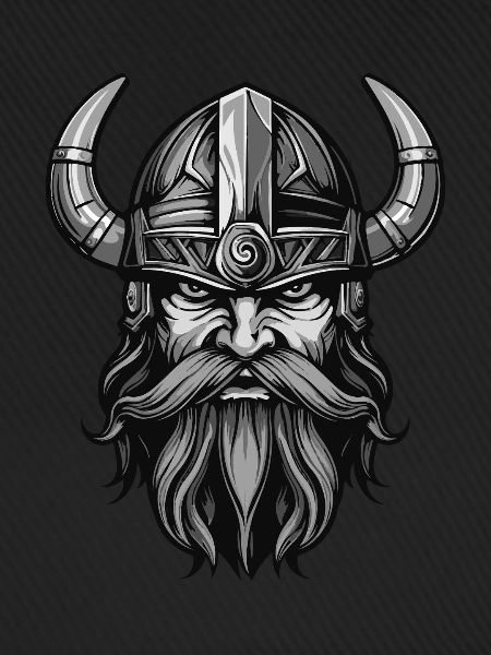Wikinger Krieger Valhalla Odin