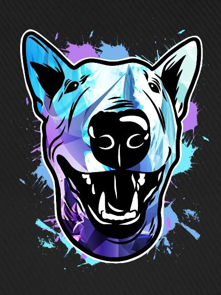 Bullterrier Hund