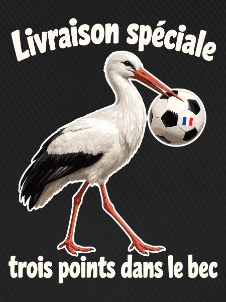 Colmar Cigogne Foot