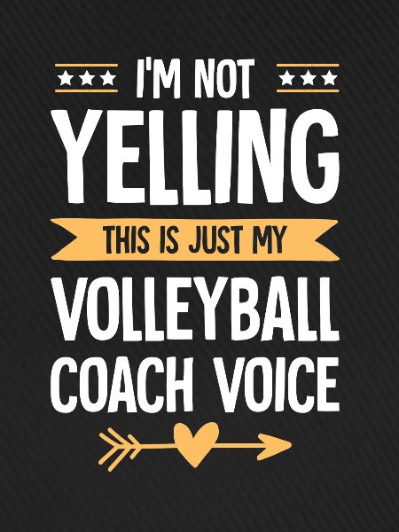volleyball trainer