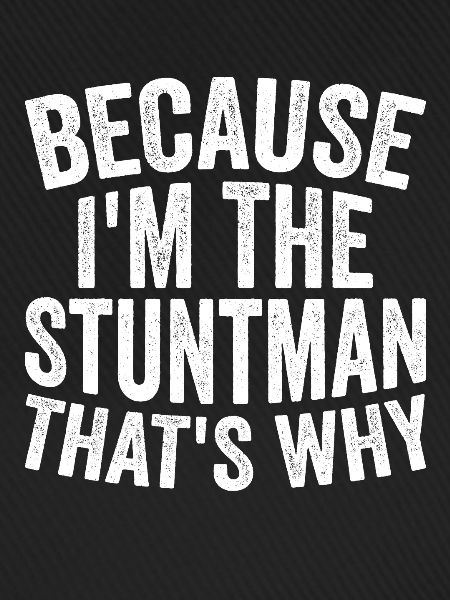 Weil Ich Stuntman Bin