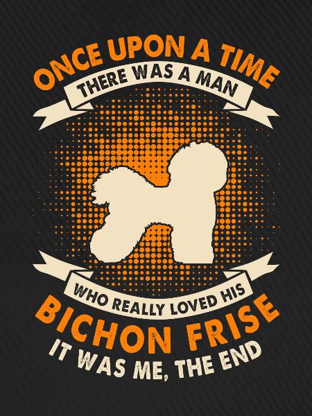 Einmal - Bichon Frise