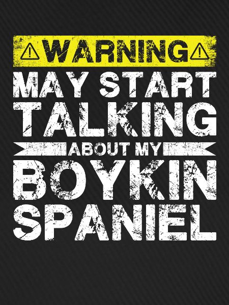 Apropos Boykin-Spaniel