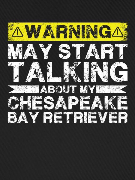 Apropos Chesapeake Bay Retriever